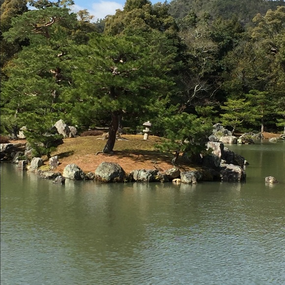 Meet your Posher, Gabriela - Picture 3 of 3